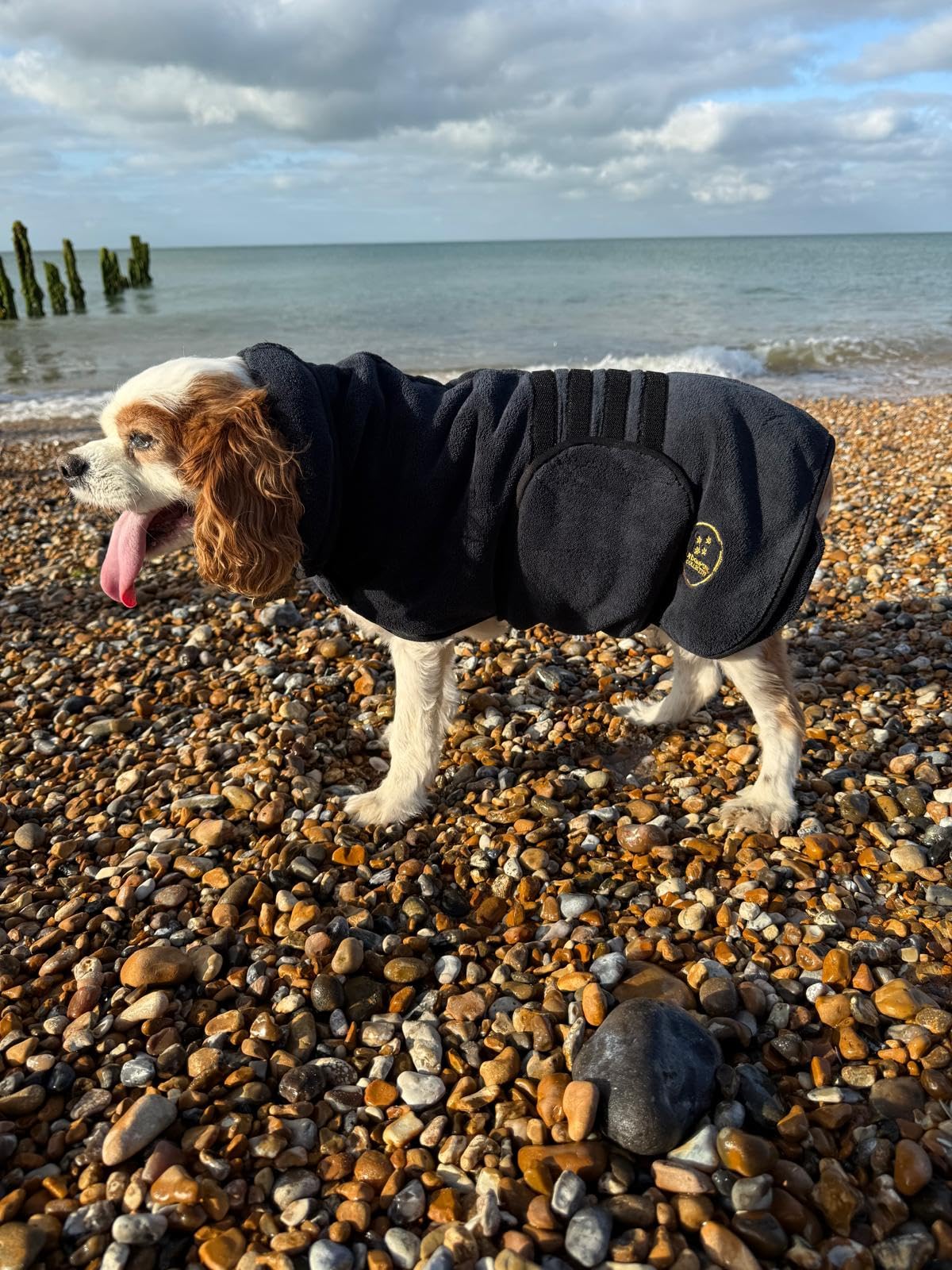 Urban Paws Collective® Luxury Dog Drying Coat, Drying Robe, Ultra Absorbent Microfibre Dog Bathrobe, Quick Dry, Covers Ears - Image 4