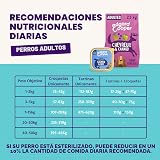 Ver la foto 7