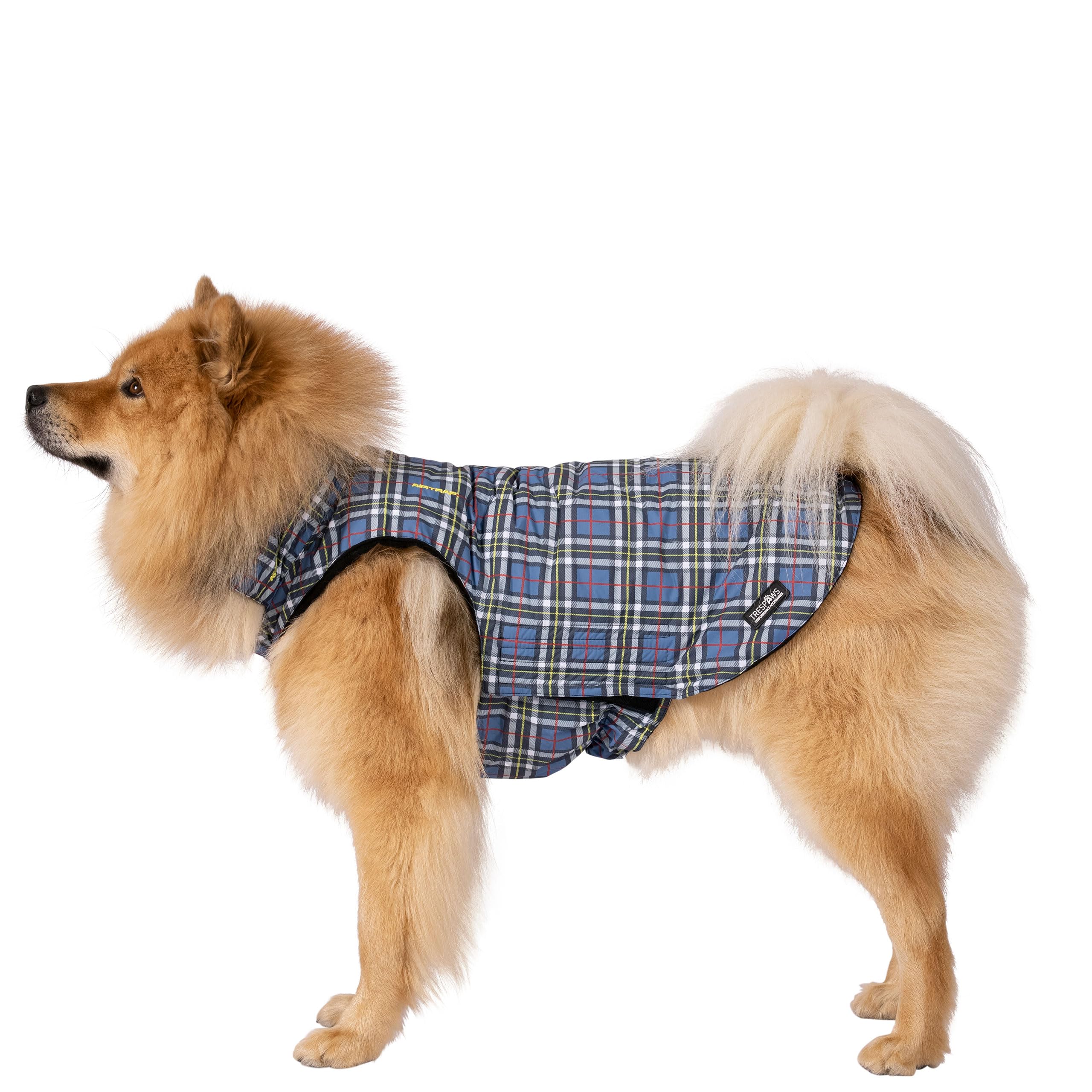 Trespass Manteau de Pluie imprimé pour Chien Charly Motif Tartan Taille M
