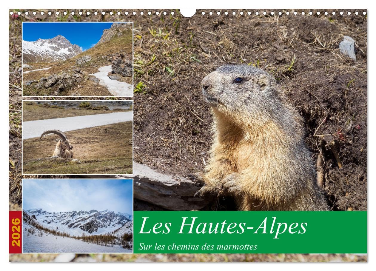 Les Hautes-Alpes sur les chemins des marmottes (Calendrier mural 2026 DIN A3 vertical), CALVENDO calendrier mensuel: A la découverte des chemins des Heutes-Alpes