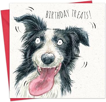Twizler Funny Birthday Card - Dog Birthday Card for Men Women - Him Her Happy Birthday Card Mum Dad Husband Wife - Son Daughter Card for Sister Brother - Border Collie Card from the Dog