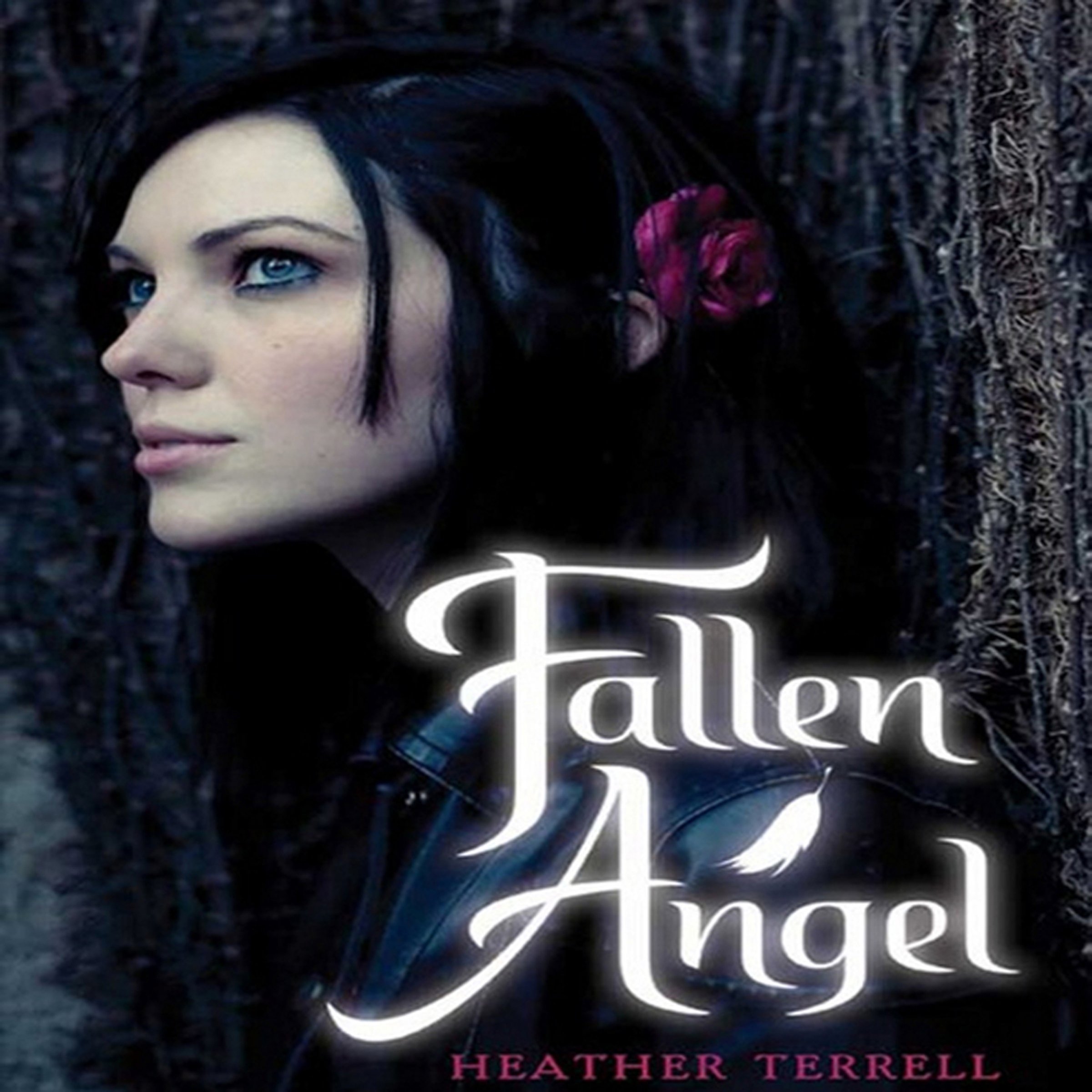 Cover art for Fallen Angel