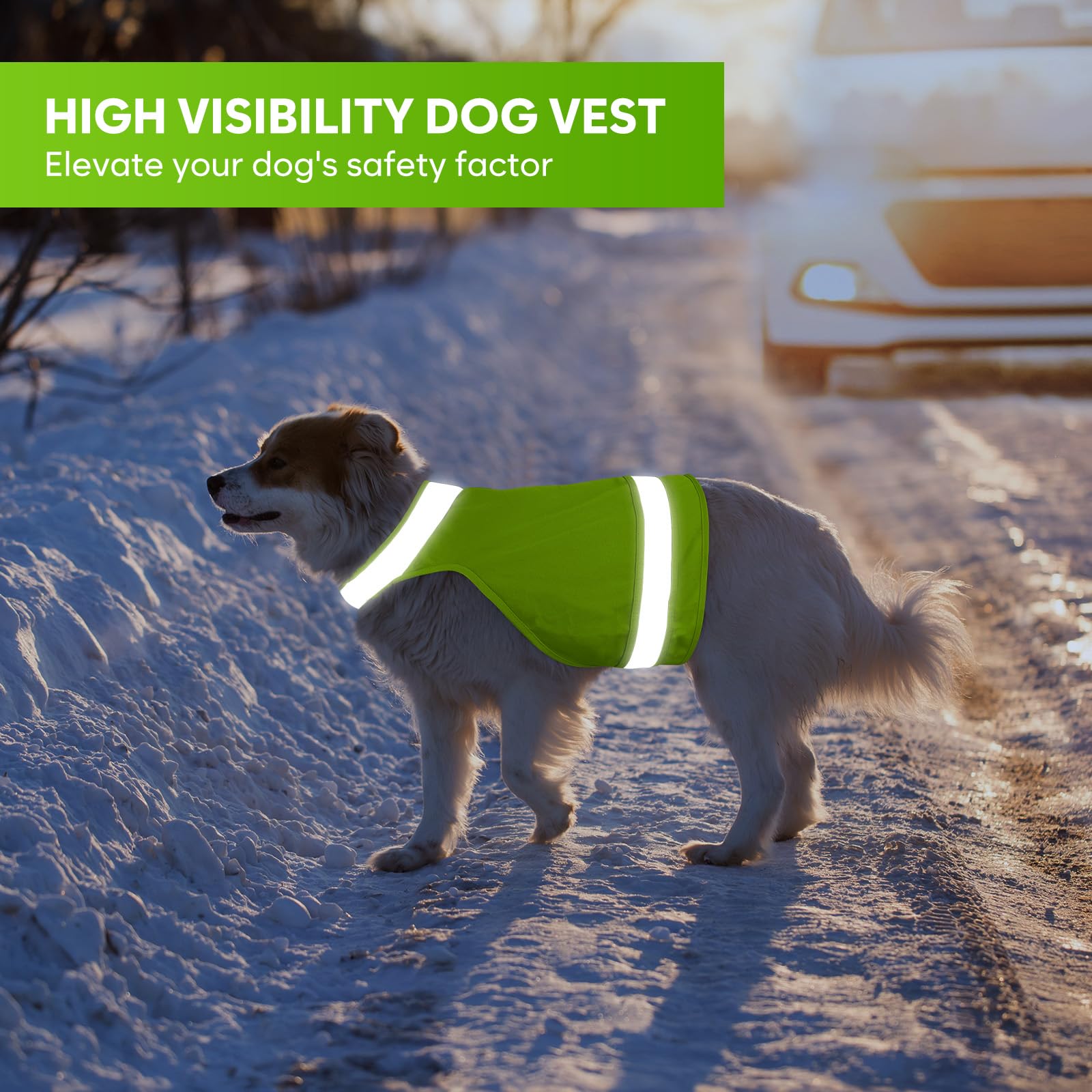 2 Stück Hunde-Jagdweste, reflektierende Sicherheitsweste, verstellbar, hohe Sichtbarkeit, macht Ihren Hund sichtbarer und sicherer vor Jägern, fluoreszierendes Grün und Blaze-Orange, Größe M