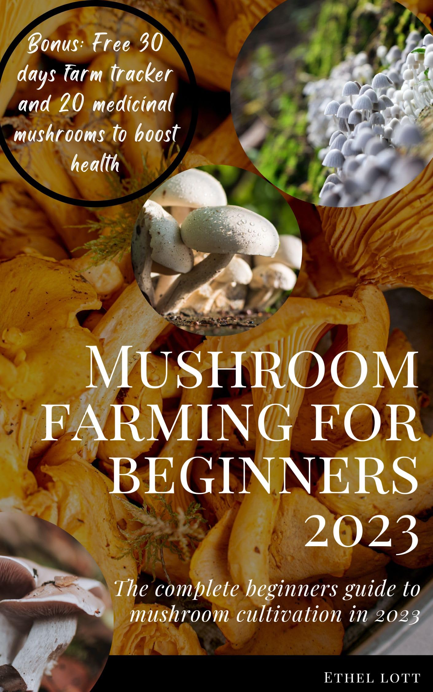 Mushroom farming for beginners 2023: The complete beginners guide to mushroom cultivation in 2023