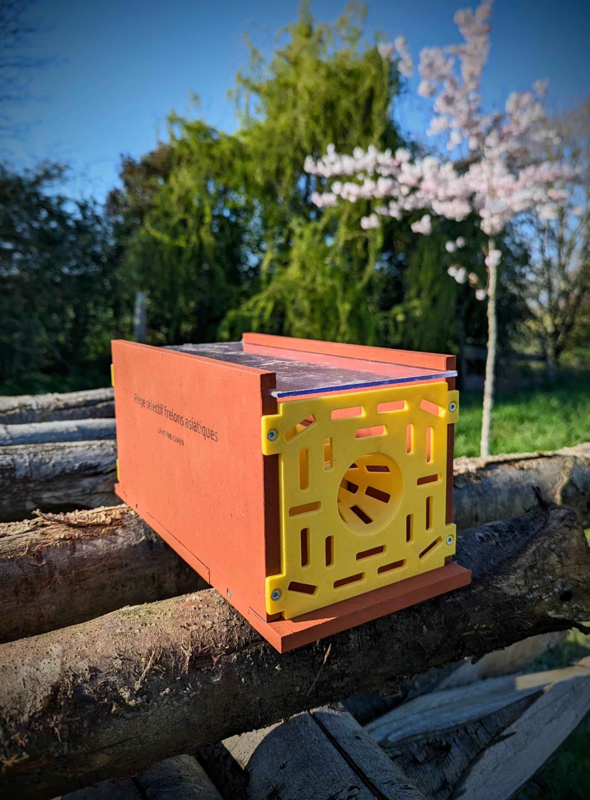 Piège Sélectif pour Frelons Asiatiques, Bois Contreplaqué Okoumé, Peinture à la Farine Rouge, Fabrication Artisanale (Sans kit appât facile)