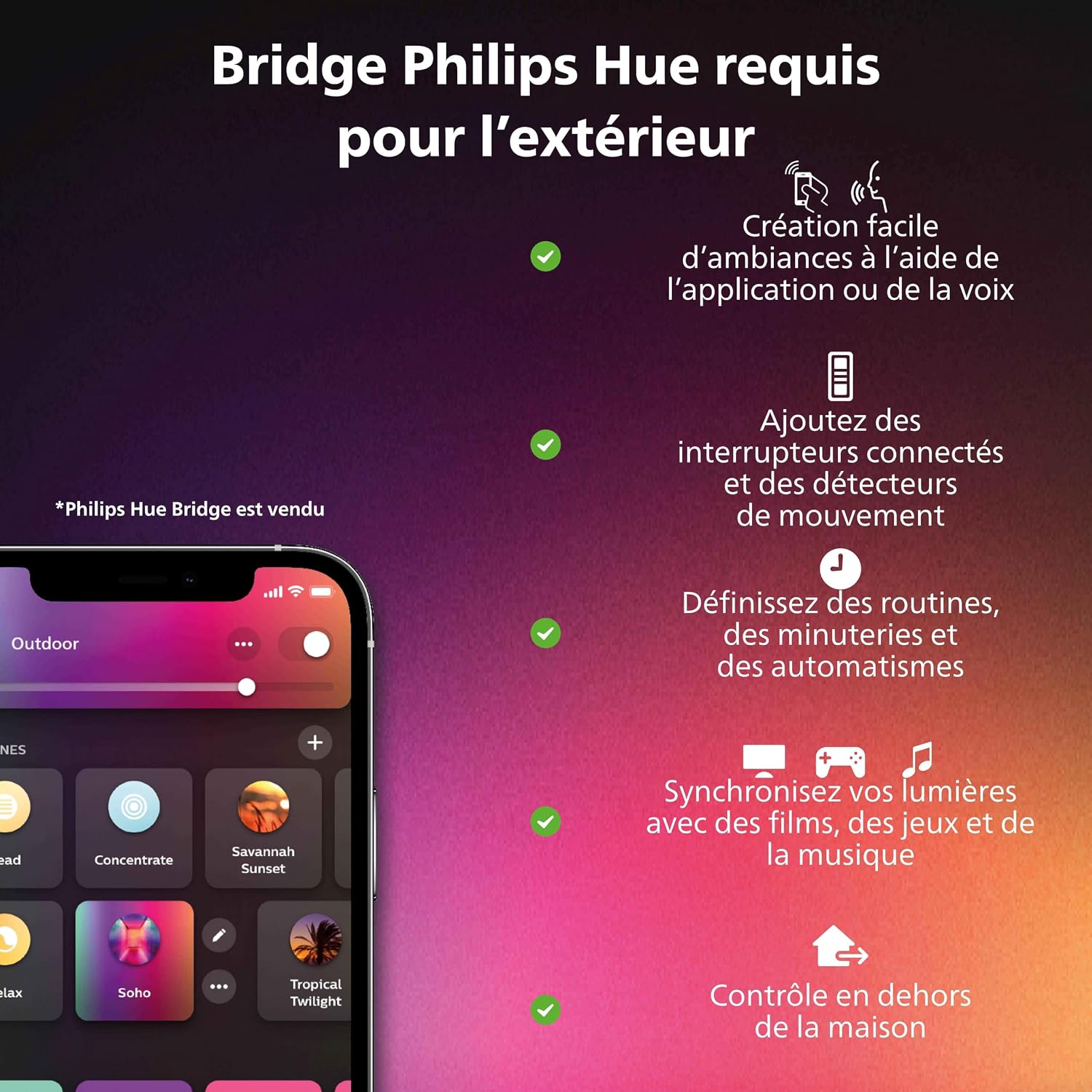 Luminaire de jardin Hue – installation extérieure et compatibilité multi-plateformes