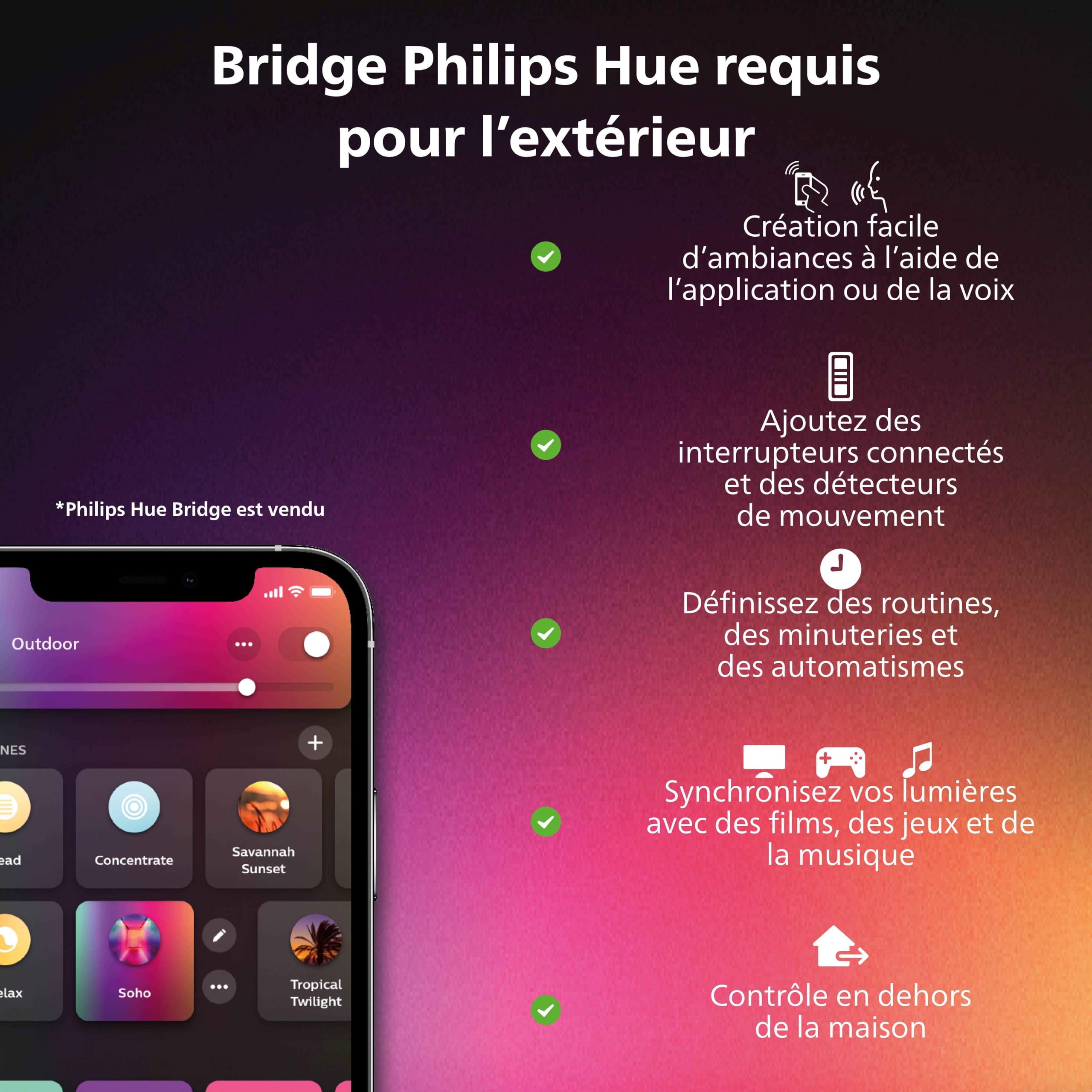 Philips Hue White & Color Ambiance Projecteur Extérieur DISCOVER, Éclairage extérieur en Aluminium Noir, Projecteur lumière compatible avec Alexa, Google Assistant et Apple Homekit