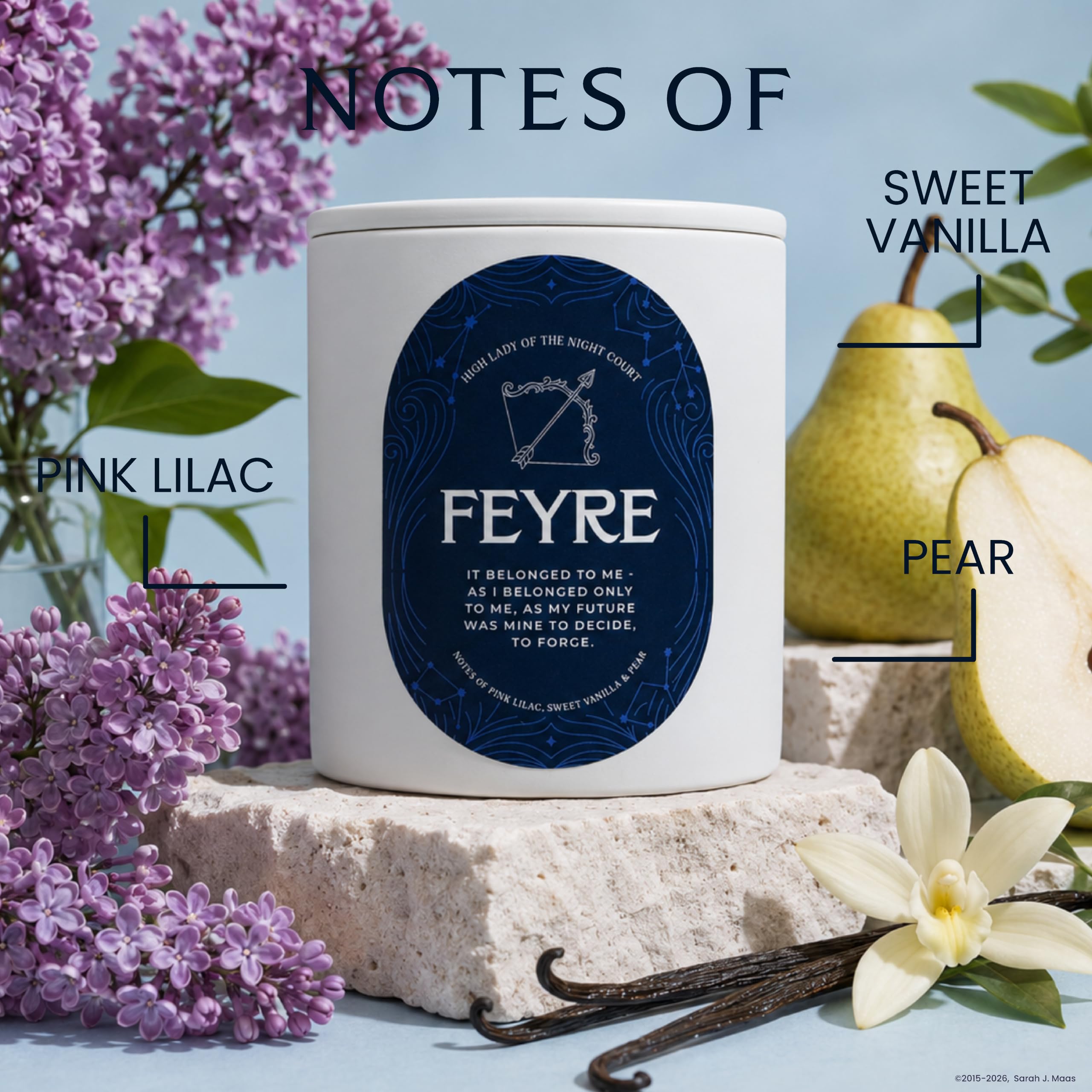 CE Craft Vela perfumada con temática de libro, regalo para ella, vela de libro de biblioteca, regalo para amantes de los libros, vela de lectura, libro amante de la librería, aromas para bibliófilos