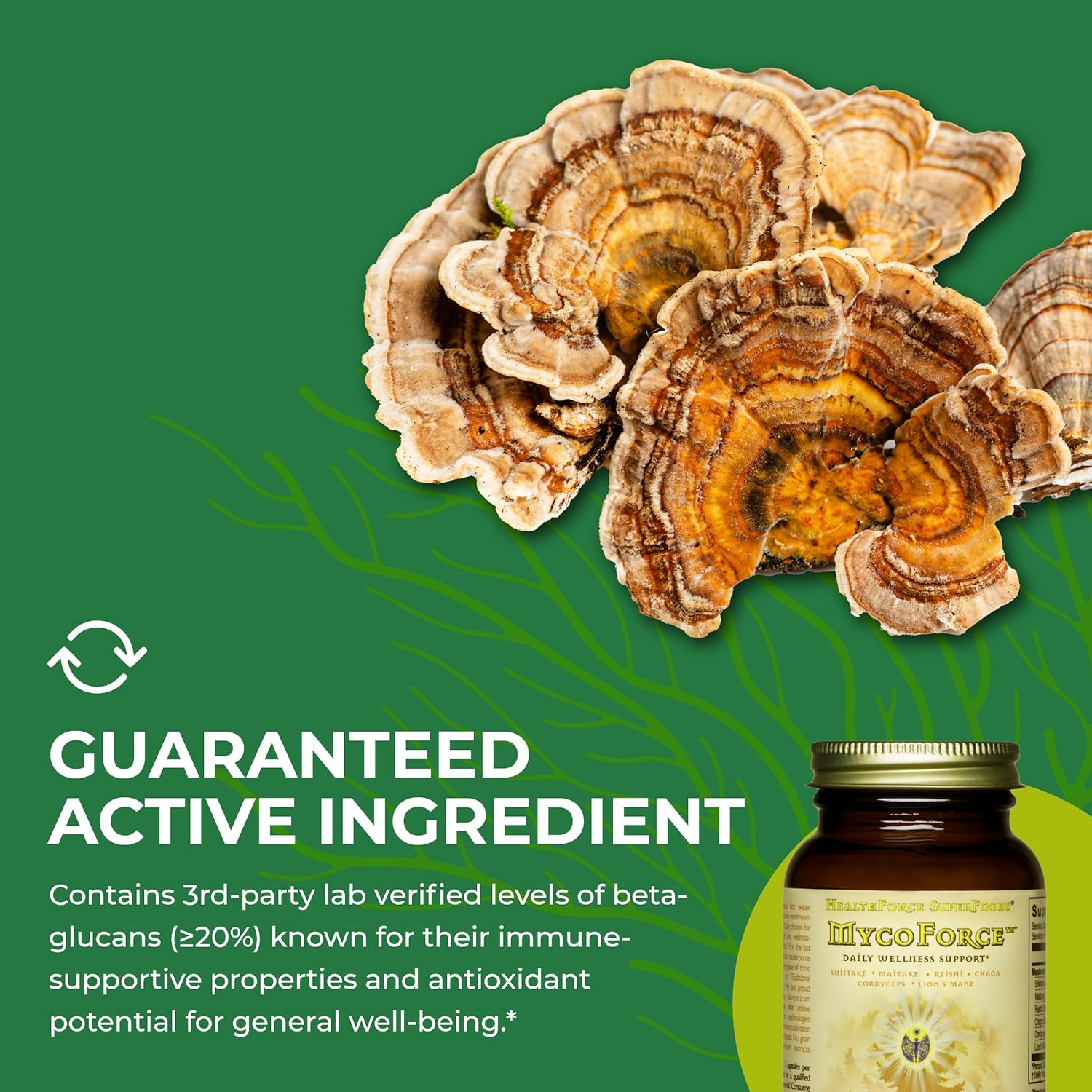 HealthForce SuperFoods MycoForce - 60 Vegan Capsules - Shiitake, Maitake, Reishi & Chaga Mushroom Supplement, Immune Booster - Organic, Gluten Free - 30 Servings