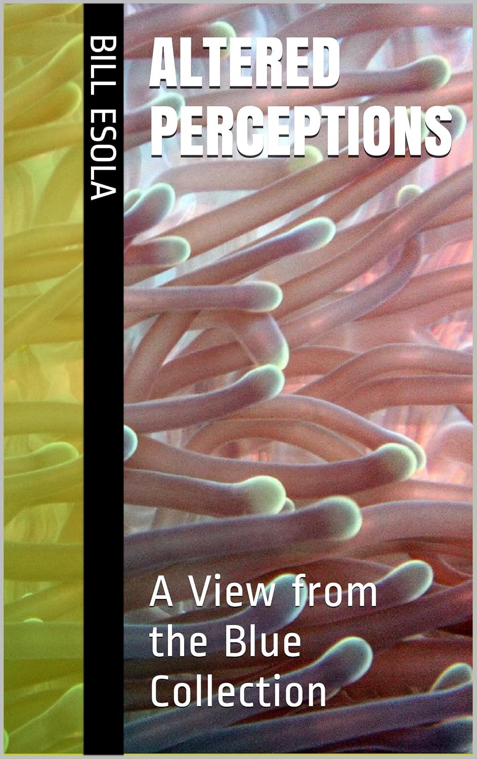 Altered Perceptions: A View from the Blue Collection eBook : Esola ...
