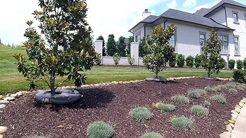 Miniatura 3 de Anillo regador de árboles con liberación lenta de 15 galones