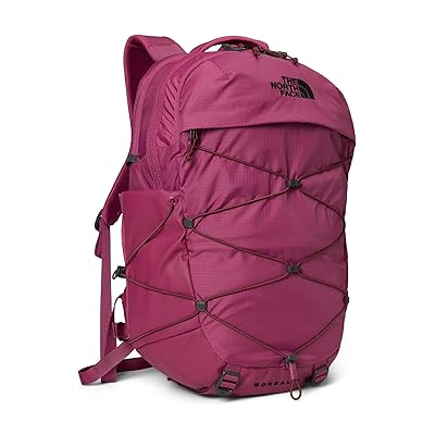 The North Face Borealis Backpack Bags Cyber Berry/Sumac
