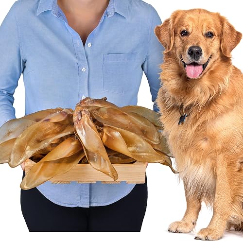 Orejas naturales de ganado con concha para perros, 10 unidades (700 g)