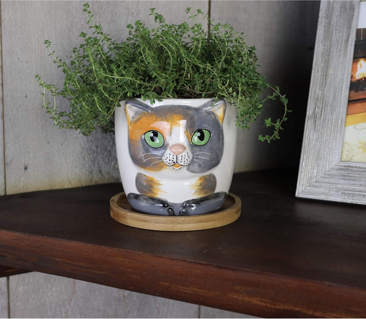Window Garden - Cat Grass Growing Kit with Kitty Pot Planter - Purrfect for Cat and Pet Lovers.Wheatgrass Snack Includes Soil and Organic Seed, Super, Christmas, Mothers Day.