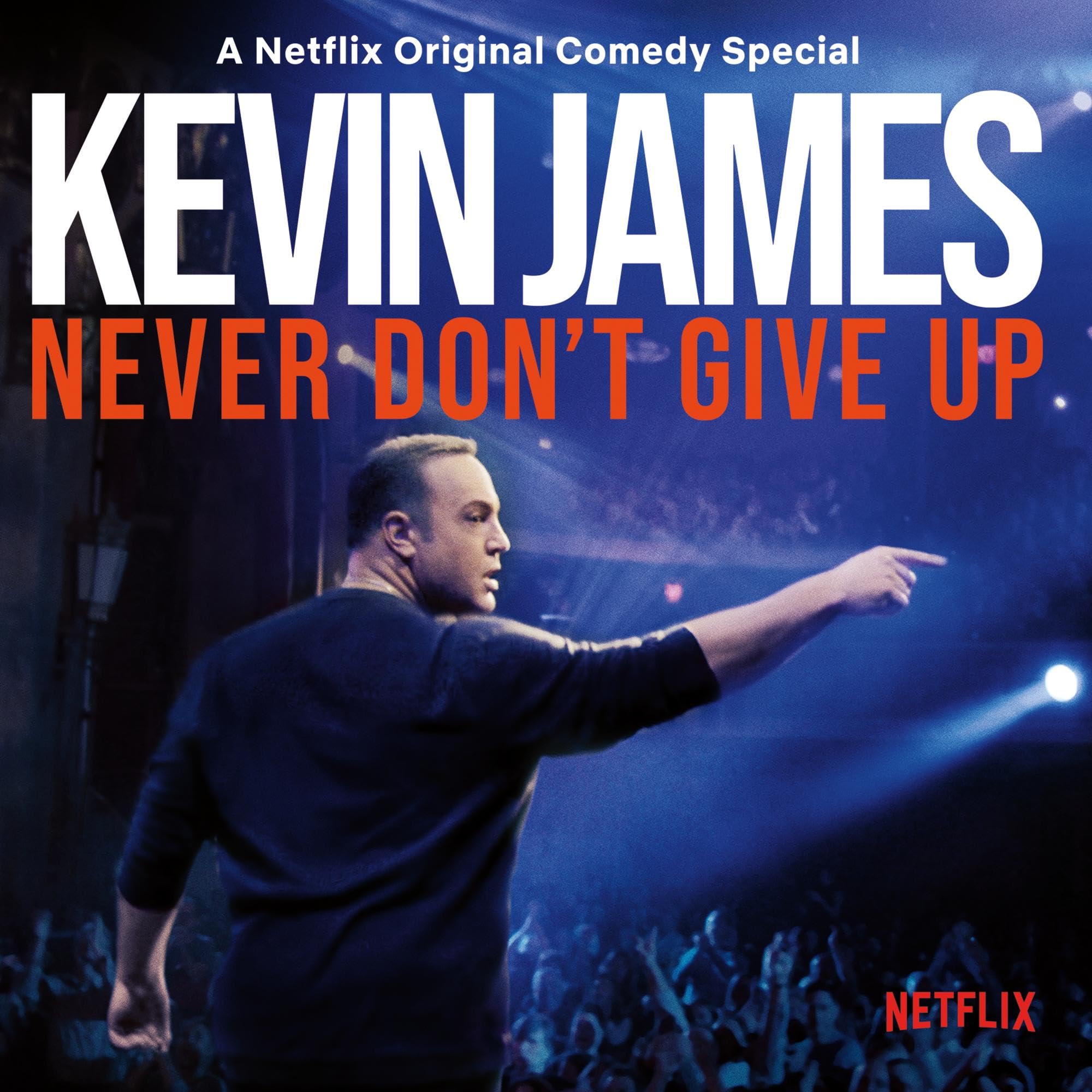 Never Don't Give Up [Vinyl LP] [VINYL]