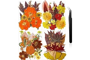 Graceful Pressed Flowers for Crafts Bulk