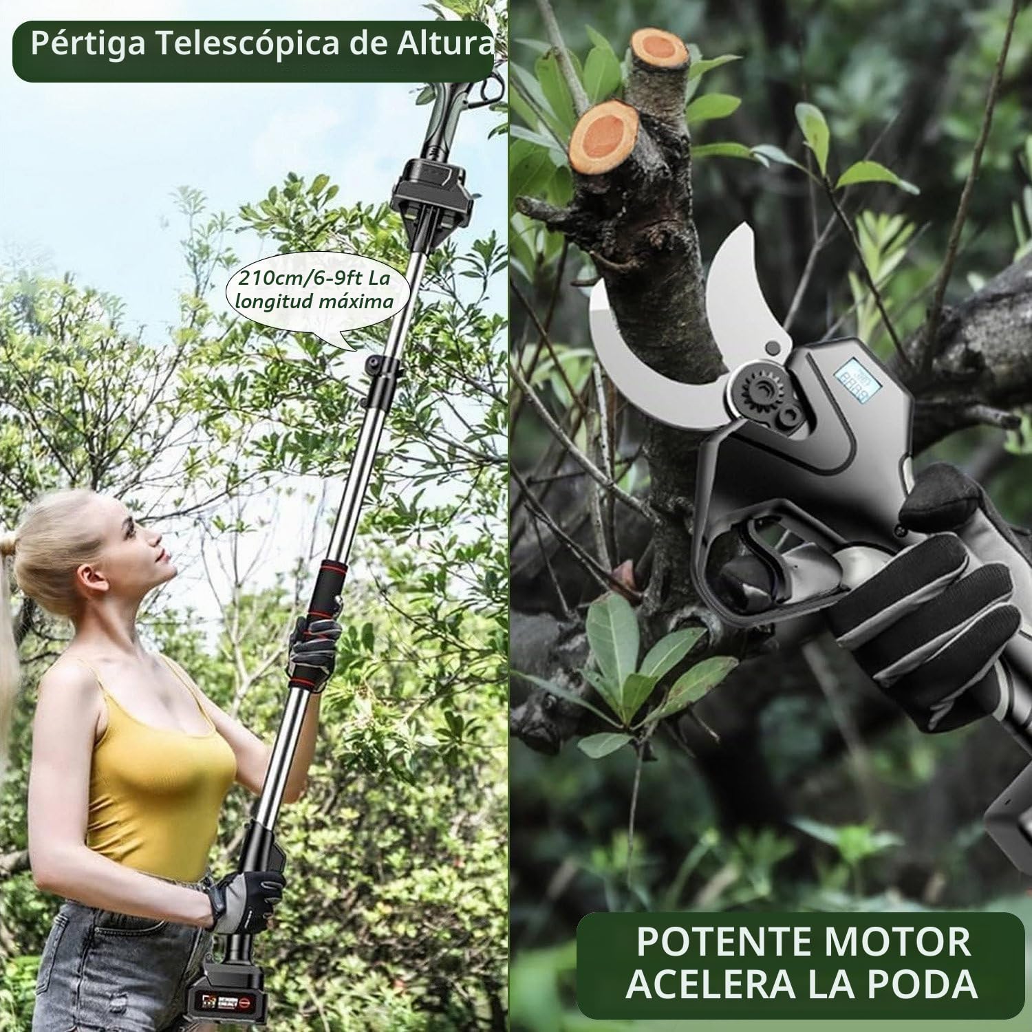 Tijeras De Podar Telescópicas, Eléctricas E Inalámbricas De 50mm con Pértiga De 1.3-2.1M Y 2 Baterías De 4500 Mah, Ideales para Viñedos, Olivos Y Jardinería.