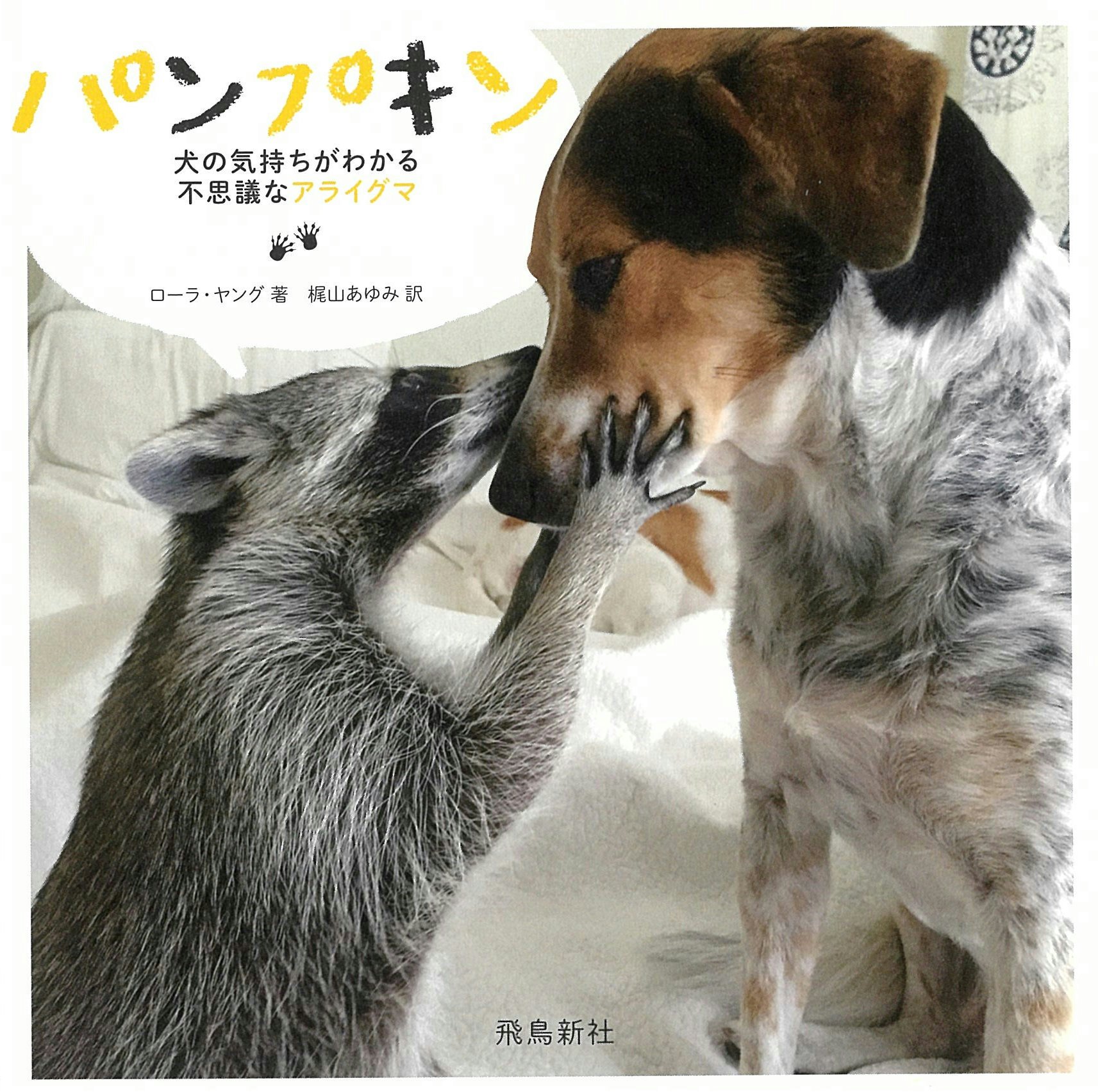 パンプキン 犬の気持ちがわかる不思議なアライグマ ローラ ヤング 梶山あゆみ 本 通販 Amazon