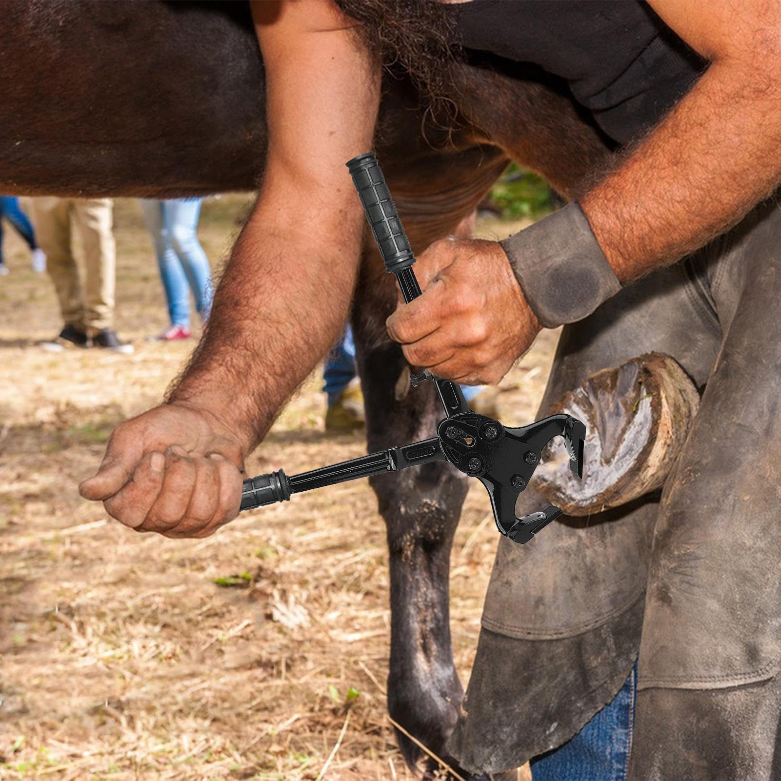 Alicates Para Cascos De Caballo Herramientas Y Dispositivos De Reparación | Tenazas De Acero Al Carbono Para Cabras Ovejas En Caballos Ganado Bovino Alpacas Y Ovejas