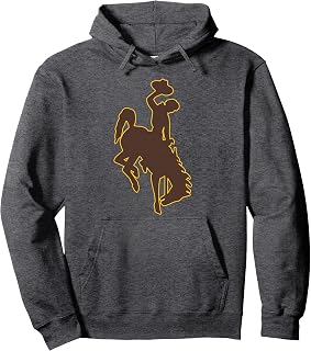 University of Wyoming Men's Cowboys Icon | Wyoming Cowboys Pullover Hoodie
