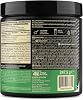 Optimum Nutrition Creatine Portakal Kreatin 248G
