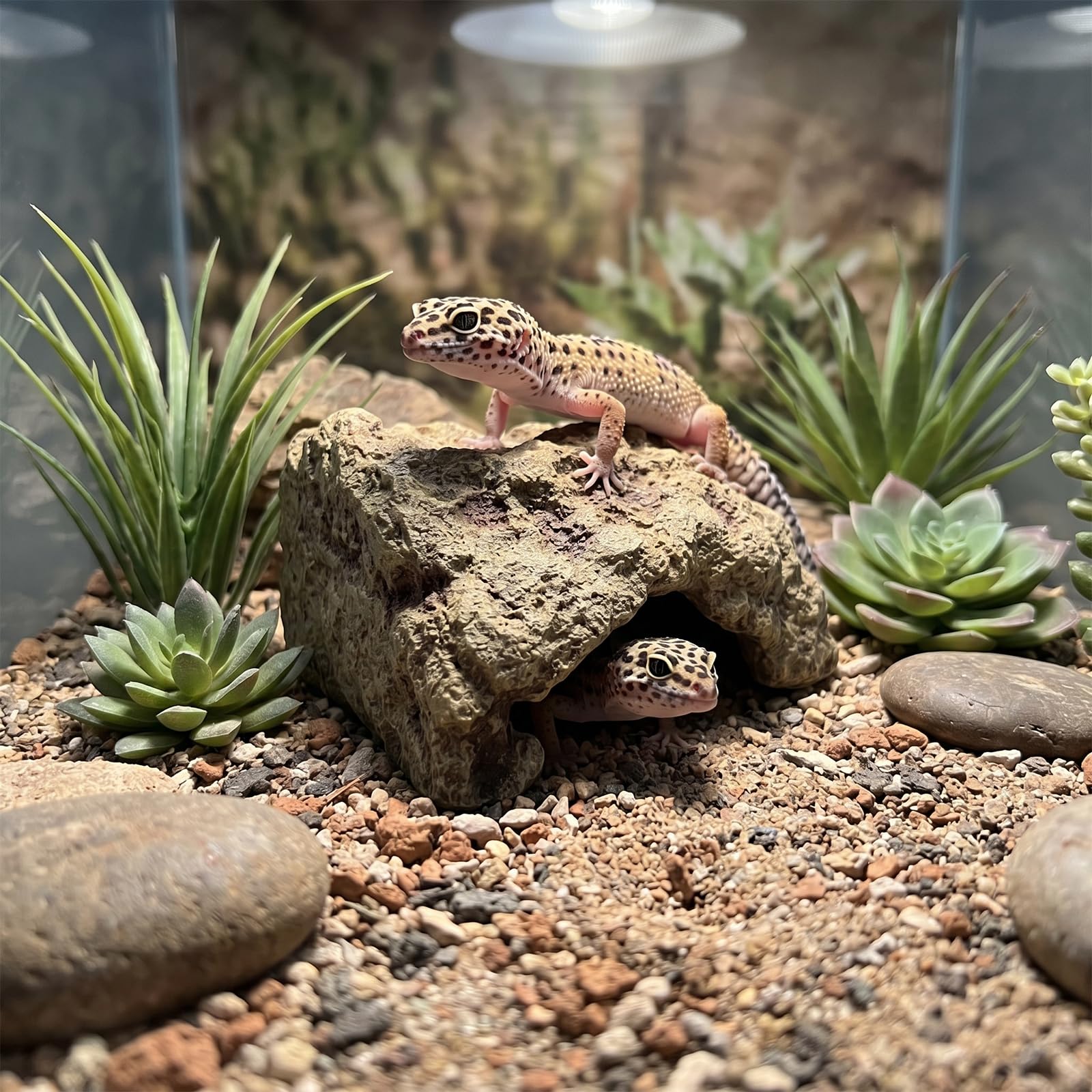 Kryjówka dla gadów z żywicy syntetycznej, jaskinia gadów, 12,5 × 9 × 7 cm, skała gadowa, kryjówka, terrarium, jaskinia, przypominająca skałę, dla gadów i płazów (M)