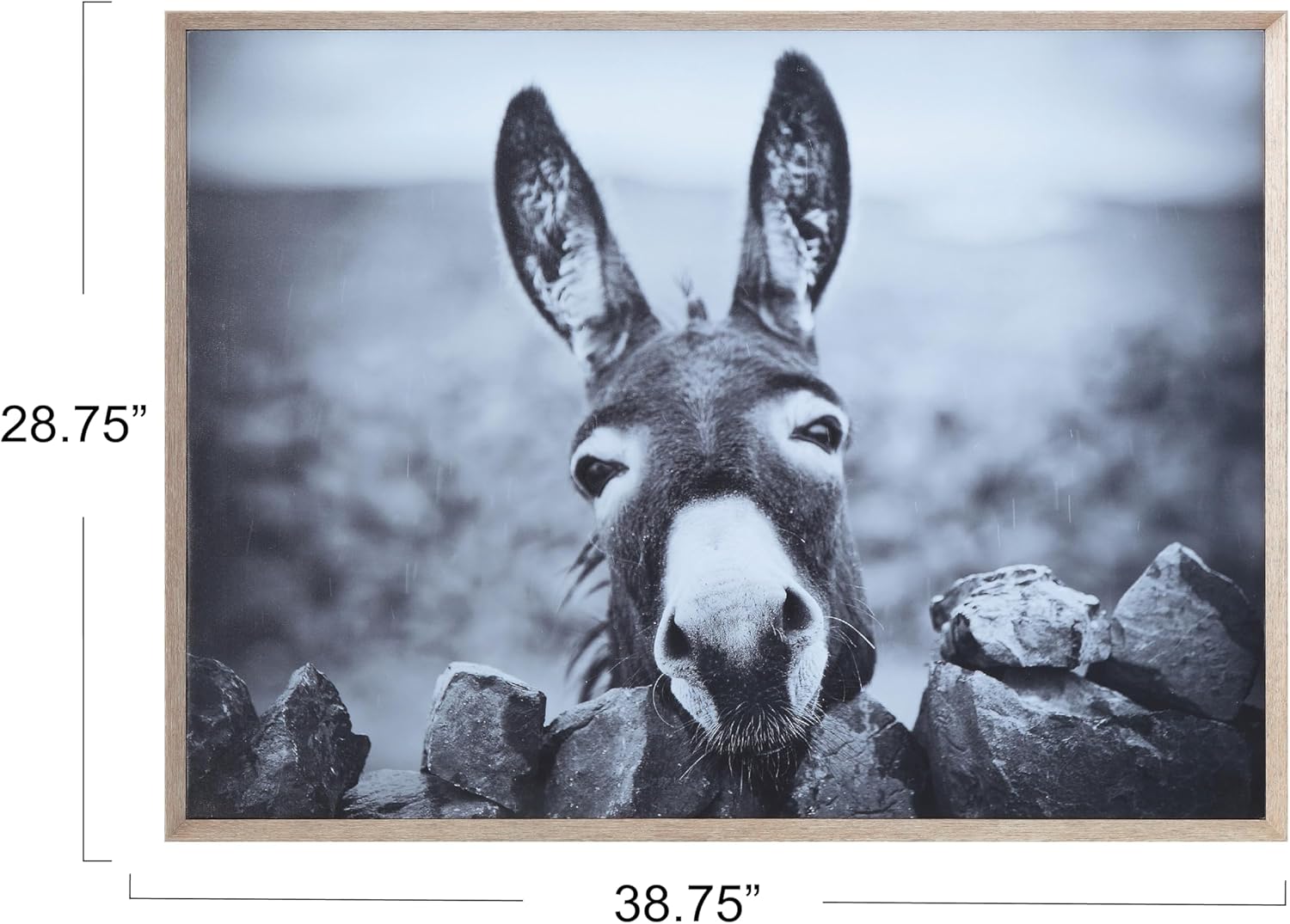 Creative Co-Op Black  White Donkey on Canvas Framed Wall Décor