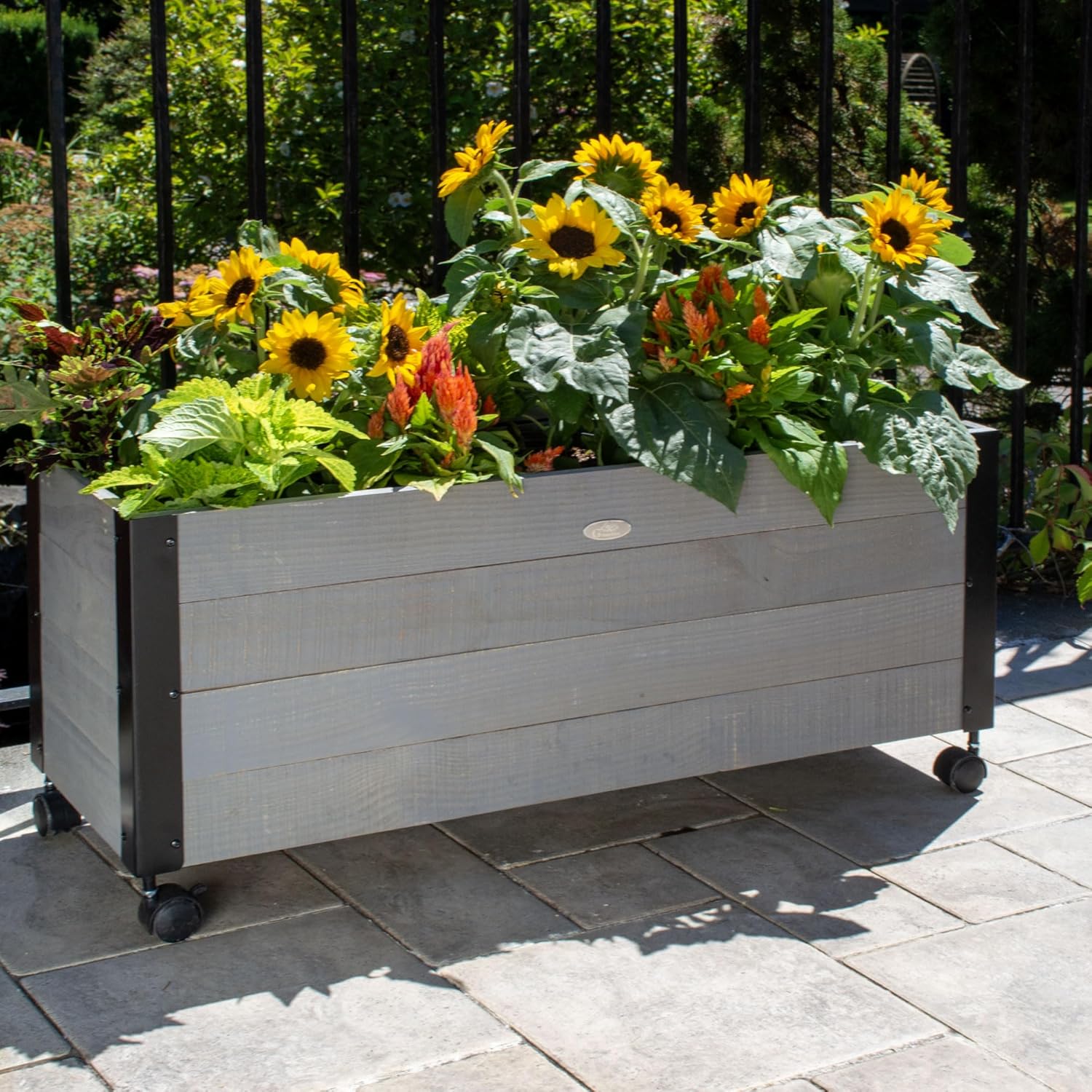 Grapevine 36IN FSC Recycled Wood Planter with Casters