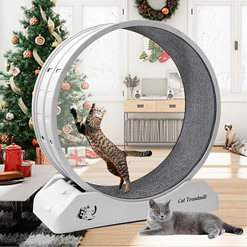 homegroove 31.5 Inch Cat Wheels for Indoor Cats, Plastic Cat Exercise Treadmill Wheel with Carpeted Runway for Kitten Daily Exercise and Weight Loss - Medium - Grey-grey Carpet