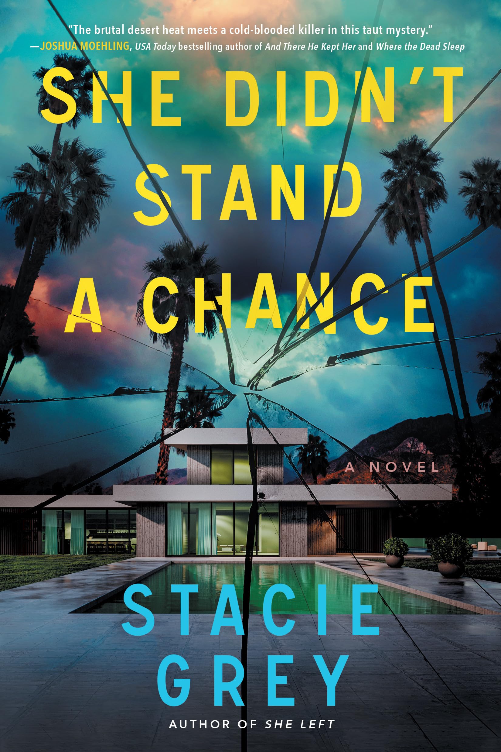 She Didnt Stand a Chance by Stacie Grey PAPERBACK 9781728292953