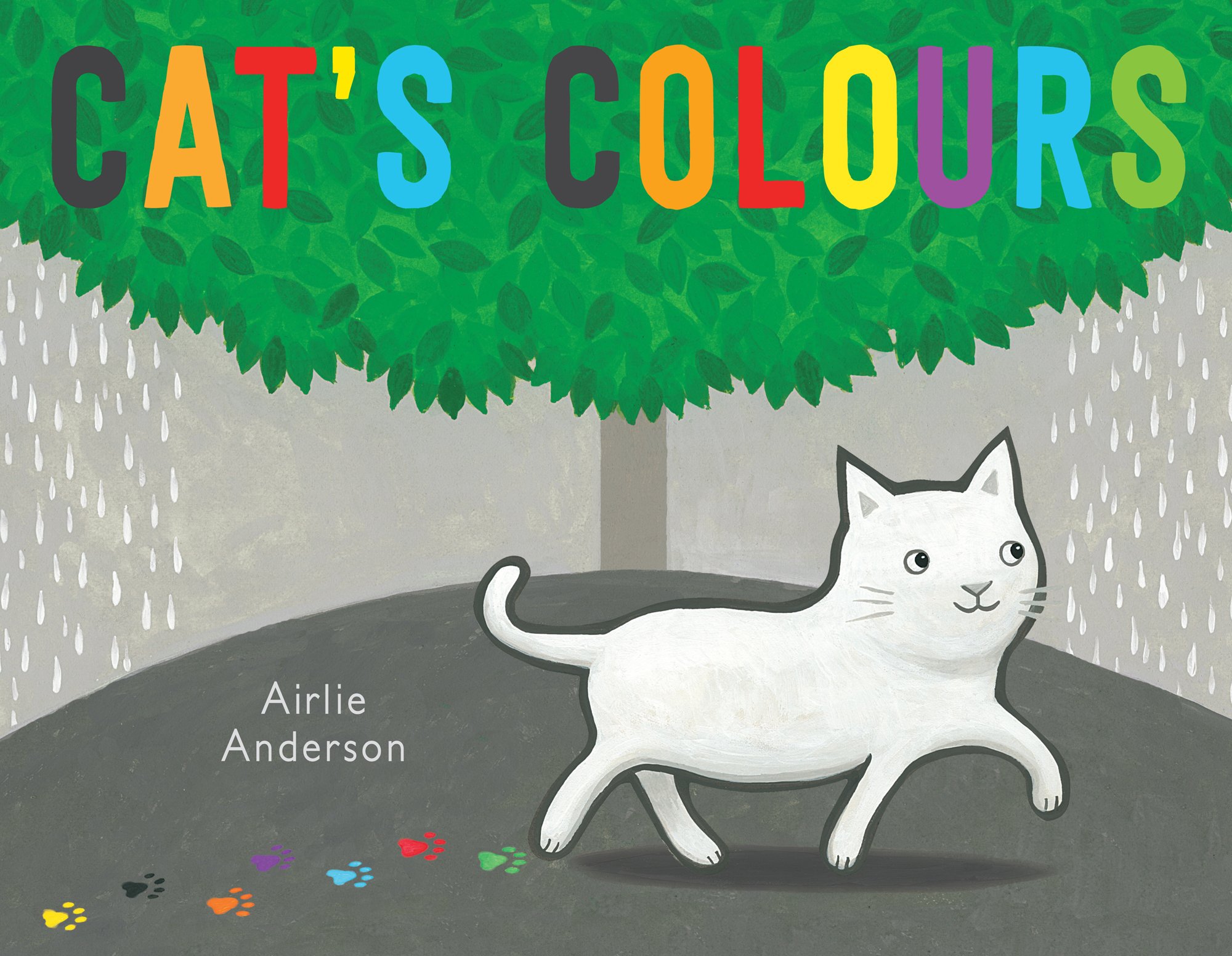 Cat's Colours (Child's Play library). Anderson 9781846437601 Free Shipping**
