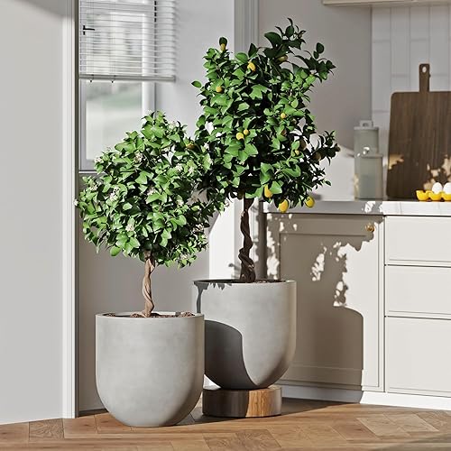 Miniatura 6 de DTY Signature Mount Antero - Maceta moderna en forma de bala de fibra de fibra ligera y duradera para interiores y exteriores, agujero de drenaje y