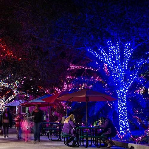 Miniatura 6 de TW SHINE Luces de Navidad, 200 luces LED de 66 pies para exteriores enchufables con 8 modos, luces de Navidad impermeables para exteriores,