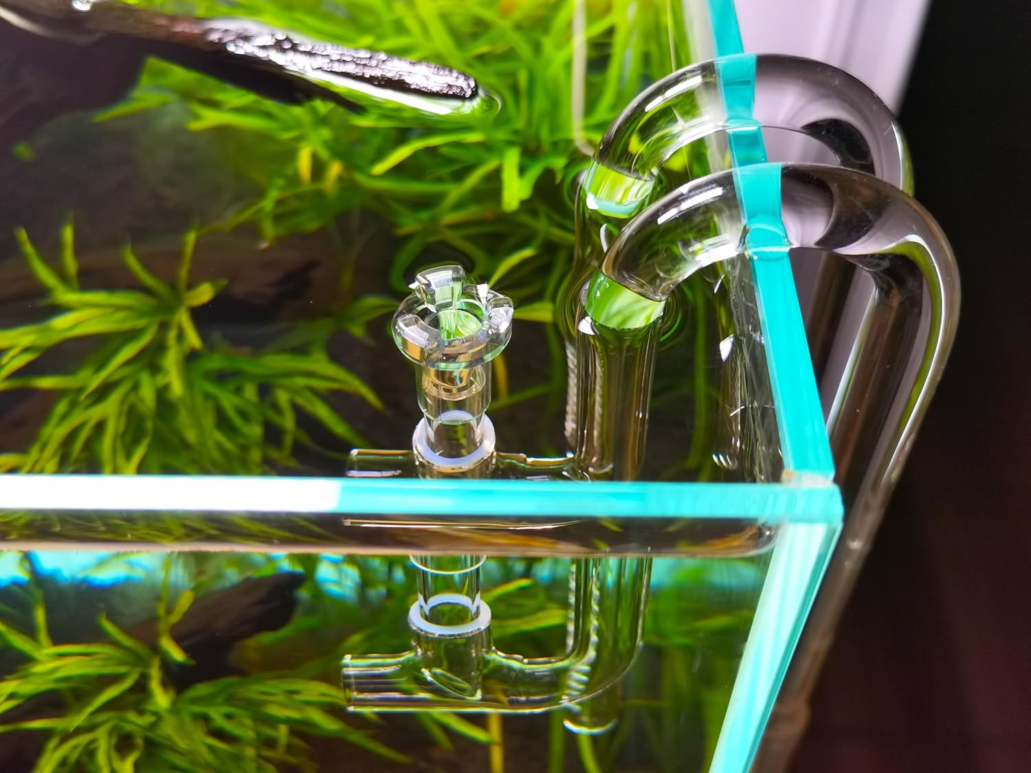 Glass Lily Pipe Jet Outflow with Surface Skimmer for Aquarium Planted Tank (17mm for 16/22mm (5/8'' i.d.) tubing)