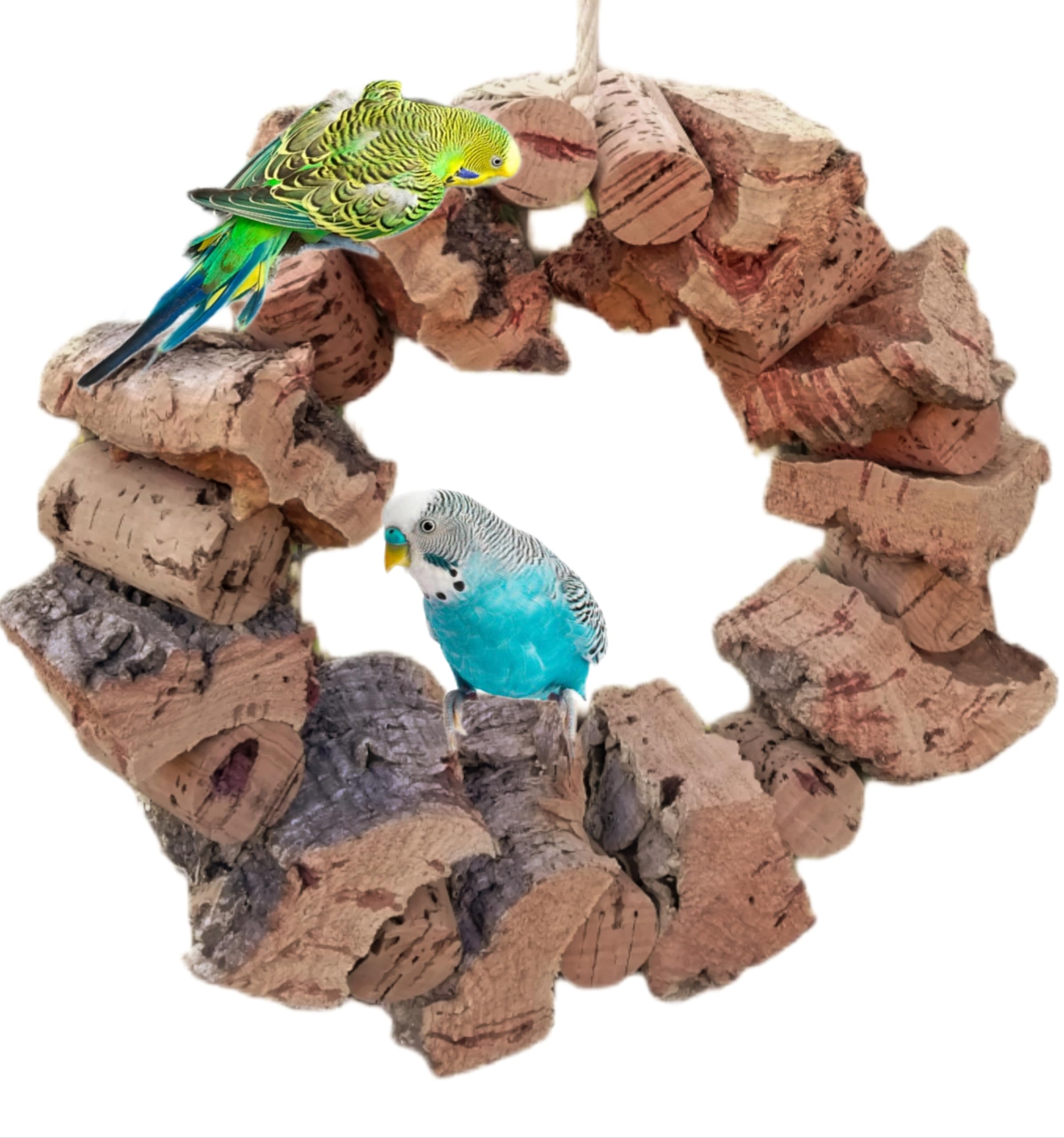 Vogelschaukel, großer Korkring mit viel Korkrinde zum schaukeln und knabbern für alle Vögel