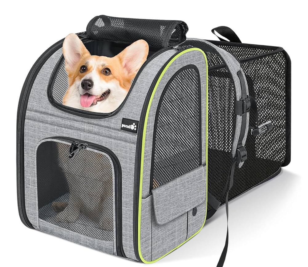 Cat Backpack Carrier - Breathable Large Space Bubble Backpack For Kitty