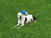 Review Image by Holly Holly