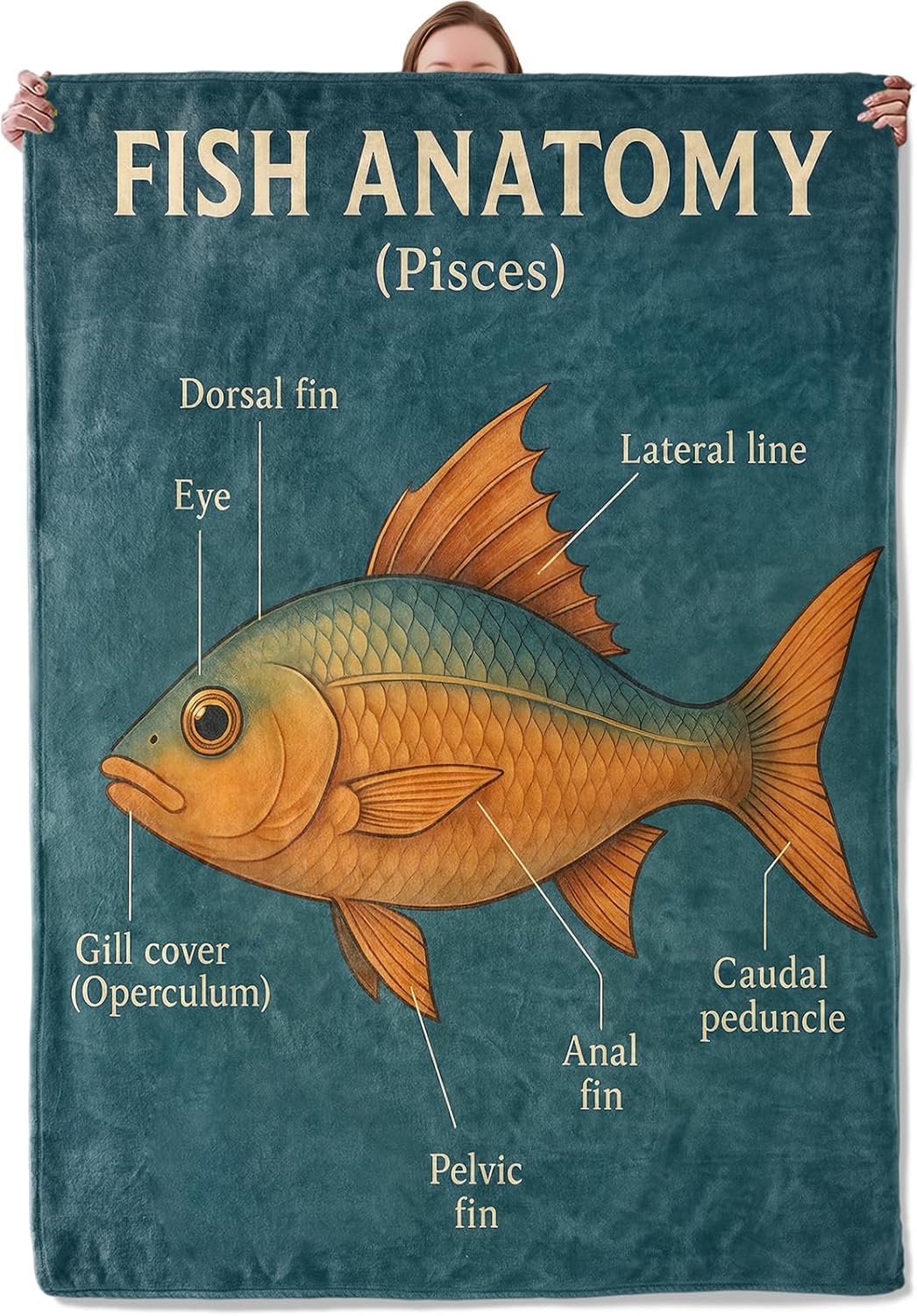 Fish Anatomy Blanket Gifts for Women Adults, Soft Warm Lightweight Flannel Throw Blankets for Camping Bedroom Living Room Home Sofa Travel Decor 50" x 60"