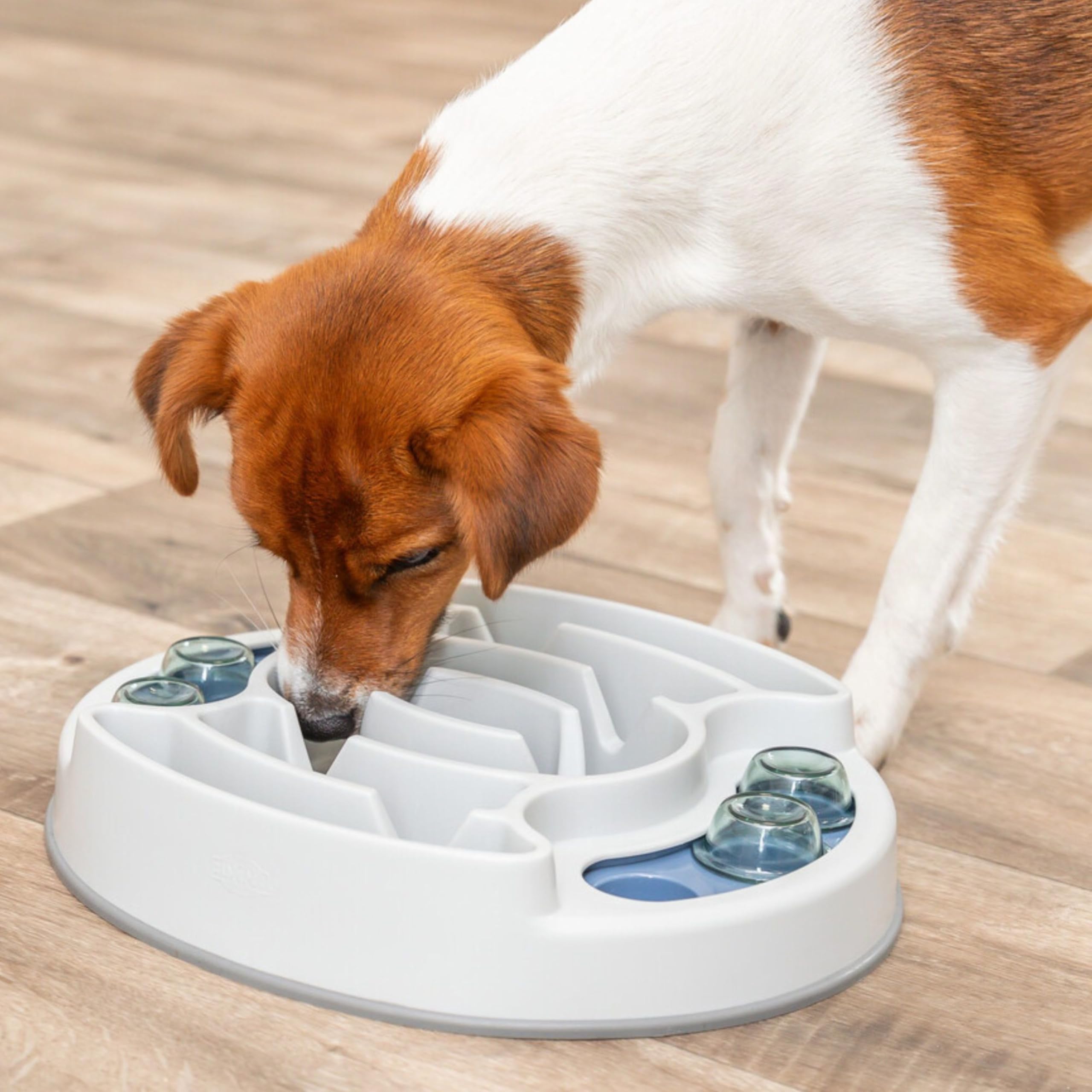 TRIXIE Zabawka dla psa inteligencja Dog Activity gra strategiczna "Slide & Feed" – wymagająca zabawka inteligencyjna dla psów do zatrudnienia, ø 30 x 27 cm – 32036