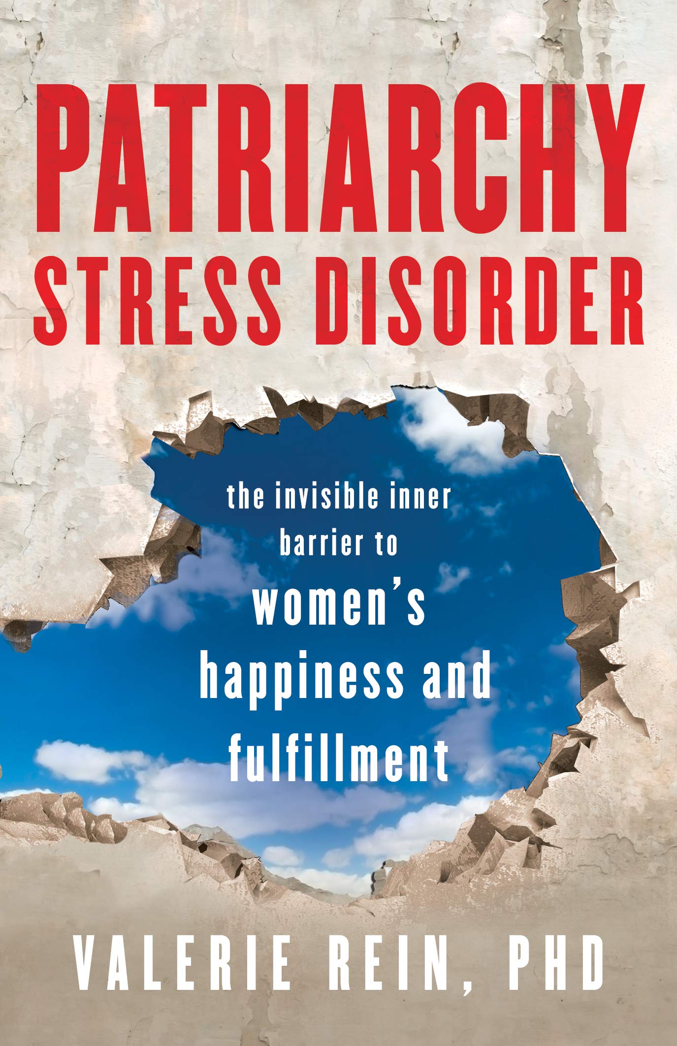 Buy Patriarchy Stress Disorder: The Invisible Inner Barrier to Women's Happiness and Fulfillment — BookShops.in