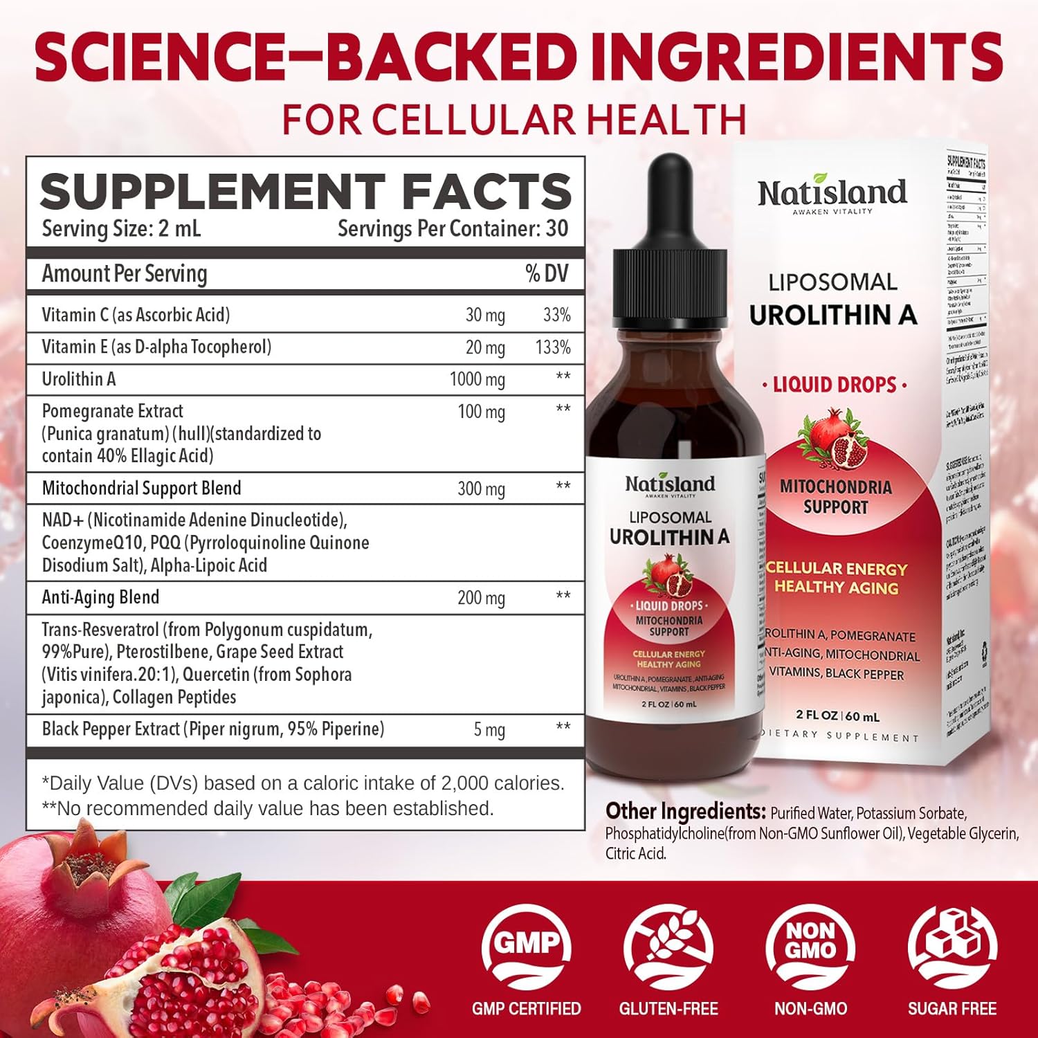 Liposomal Urolithin A Liquid Drops, Urolithin A Supplement with Pomegranate Extract, for Healthy Aging, Antioxidant & Mitochondrial Support, Non-GMO, 2 Fl Oz - Image 2