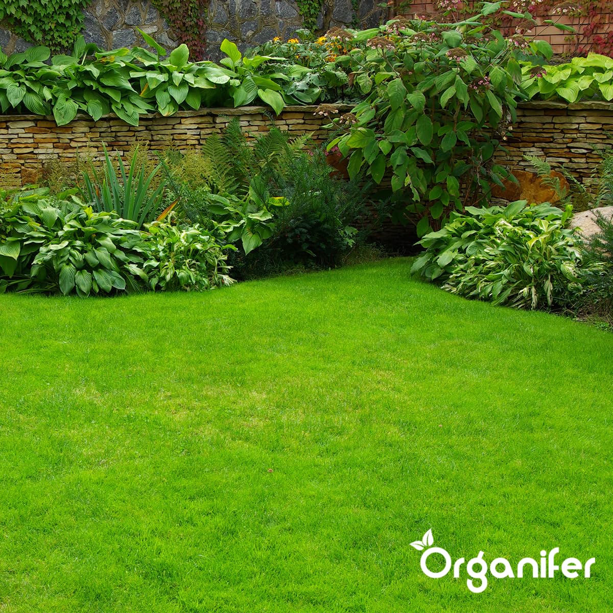 Fertilizante De Sulfato De Hierro - 20kg = 1000m2 | Musgo - Fertilizante Para Césped - Césped Limpio - Fertilizante - Sulfato De Hierro Para Césped - Organifer