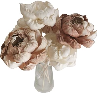 6 Rare Wood White Peony Brides Dream Flower 3" Sola Flower Reed Diffuser for Home Fragrance by Plawanature.