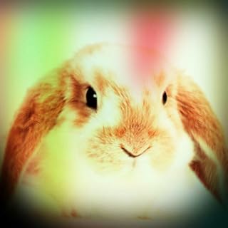 Bunny Sounds