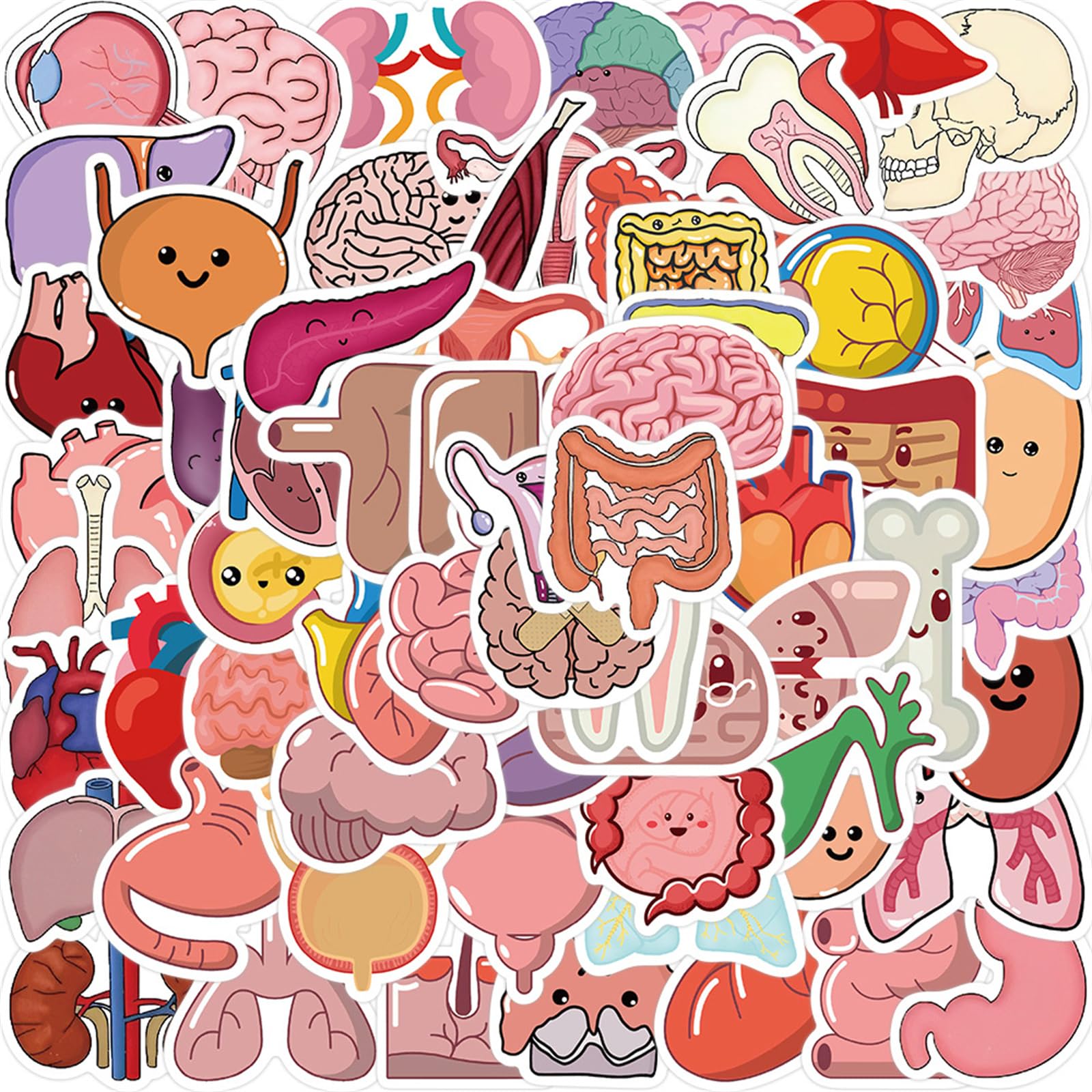 50PCS Cute Cartoon Organs Stickers for Kids Teens Adults, Medical Body Organ Anatomy Stickers Pack for Student Nurse, Waterproof Vinyl Sticker Bulk for Water Bottle,Laptop,Scrapbook (Colourful-2)