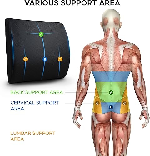 Miniatura 5 de EcoNour Almohada de apoyo lumbar para coche y silla de oficina  Mejora la postura sentada y alivio del dolor de espalda, espuma viscoelástica,