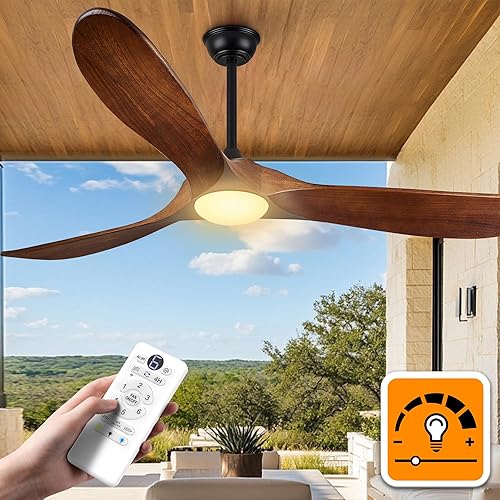 52 Inch Ceiling Fans with Lights and Remote Control, Outdoor