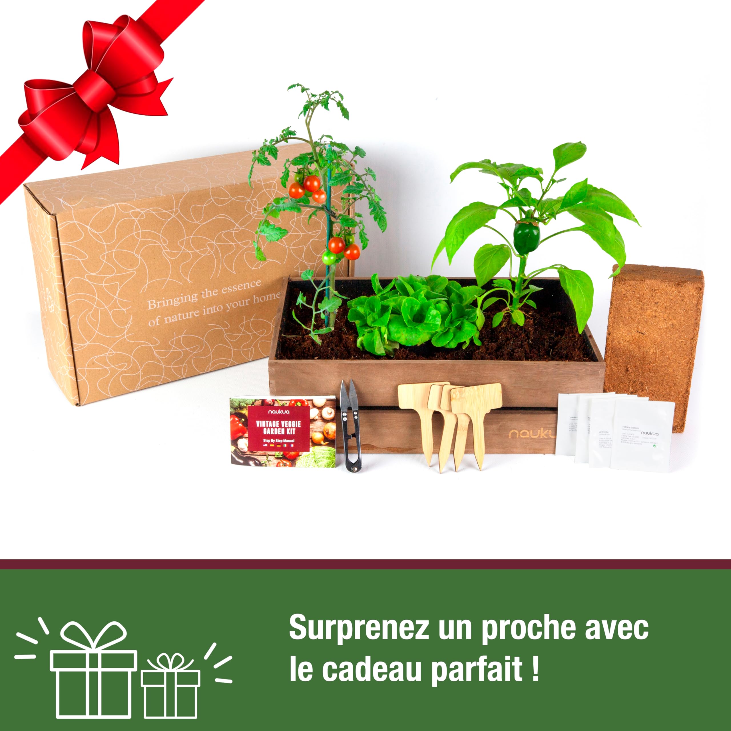 Kit Vintage Prêt à Pousser (Laitue, Radis, Piment Vert & Tomates) - Graines Bio cultivées en Espagne- Livret d'Instructions Étape par Étape - Potager d'Intérieur pour cultiver Vos Légumes à la Maison