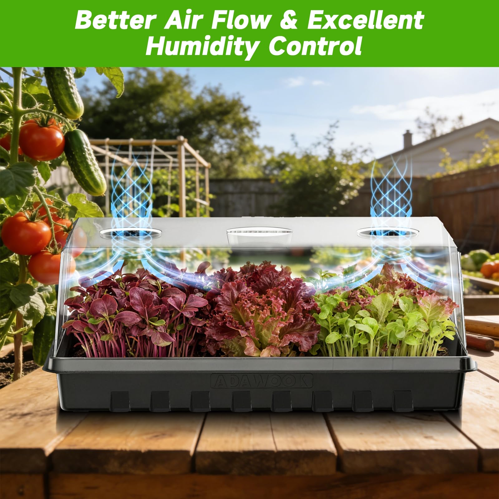 Lot de 6 plateaux de démarrage de semis pour plantes, plateaux de germination avec dômes d'humidité élevée de 12 cm, grand espace de croissance et meilleur flux d'air pour le démarrage des graines