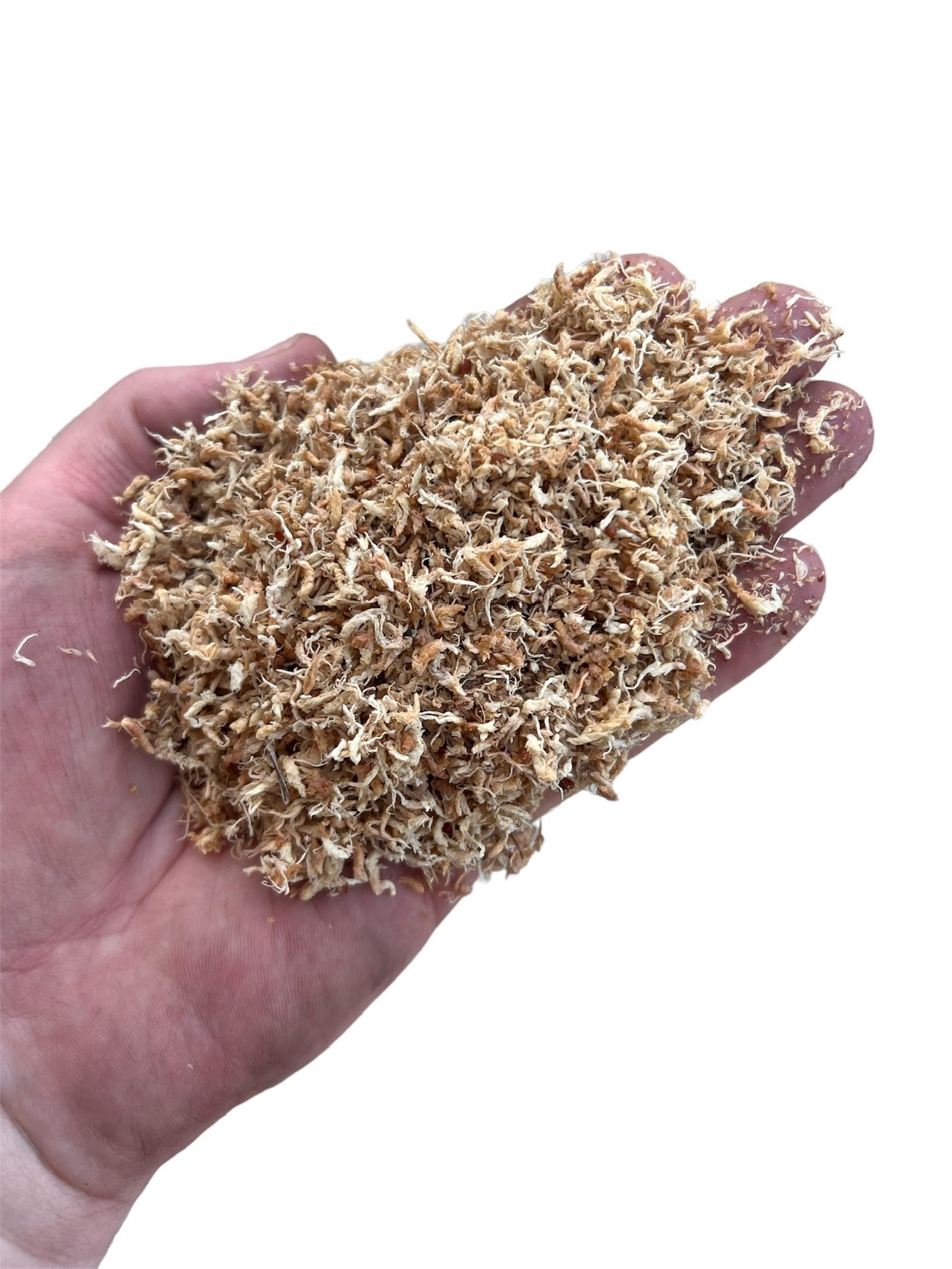 Besgrow Sphagnum Moss Petals (No Stems or Strands) Excellent for Orchids, Aroids, Tropicals, Soil Blends, Terrariums and Vivariums - 1 Gallon Loose Fill